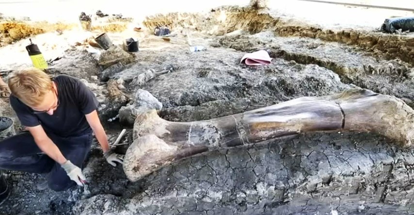VIDEO Francuski znanstvenici pronašli ogromnu bedrenu kost dinosaura